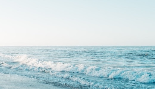 葛西臨海公園バーベキュー予約不要で持ち込みOK？料金も詳しく紹介